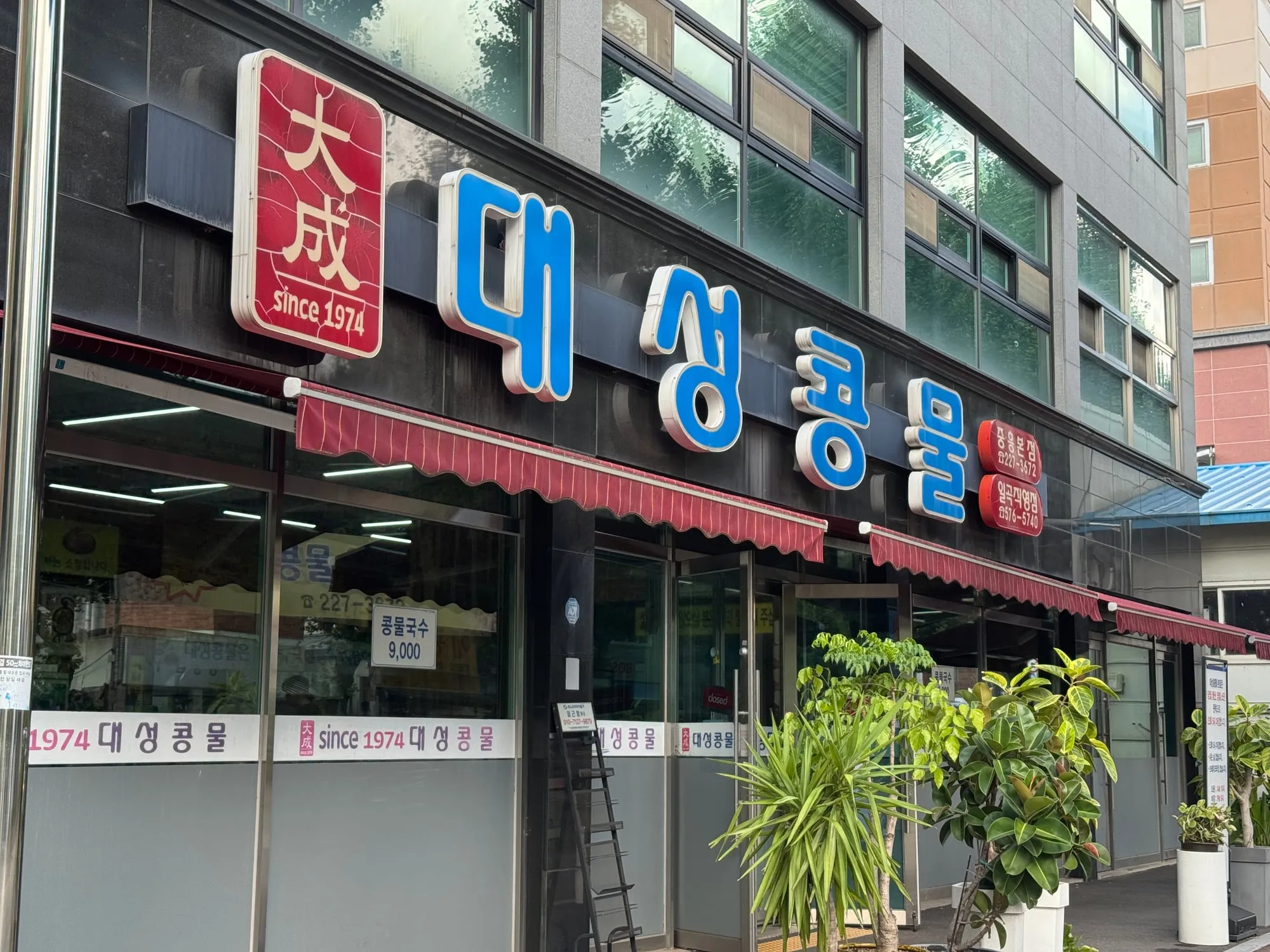 콩국수