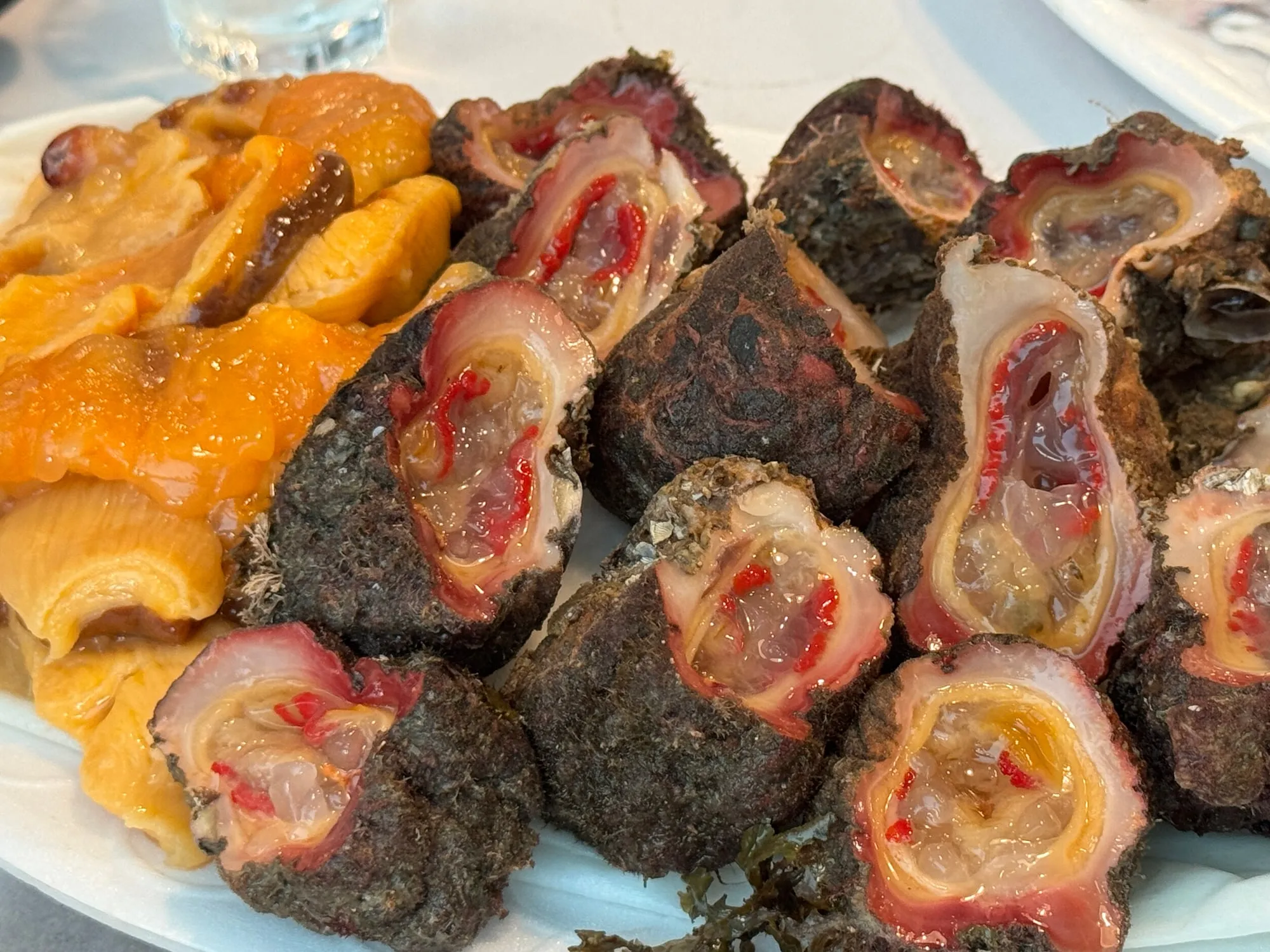 바다 향 가득한 멍게와 돌멍게